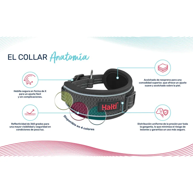 Dog collar Company of Animals Grey
