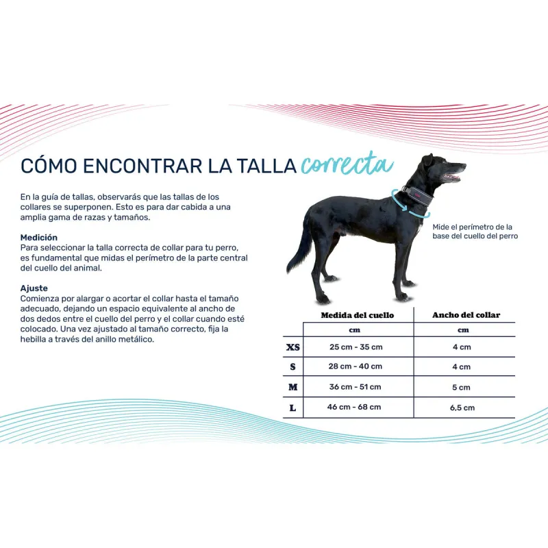Dog collar Company of Animals Grey