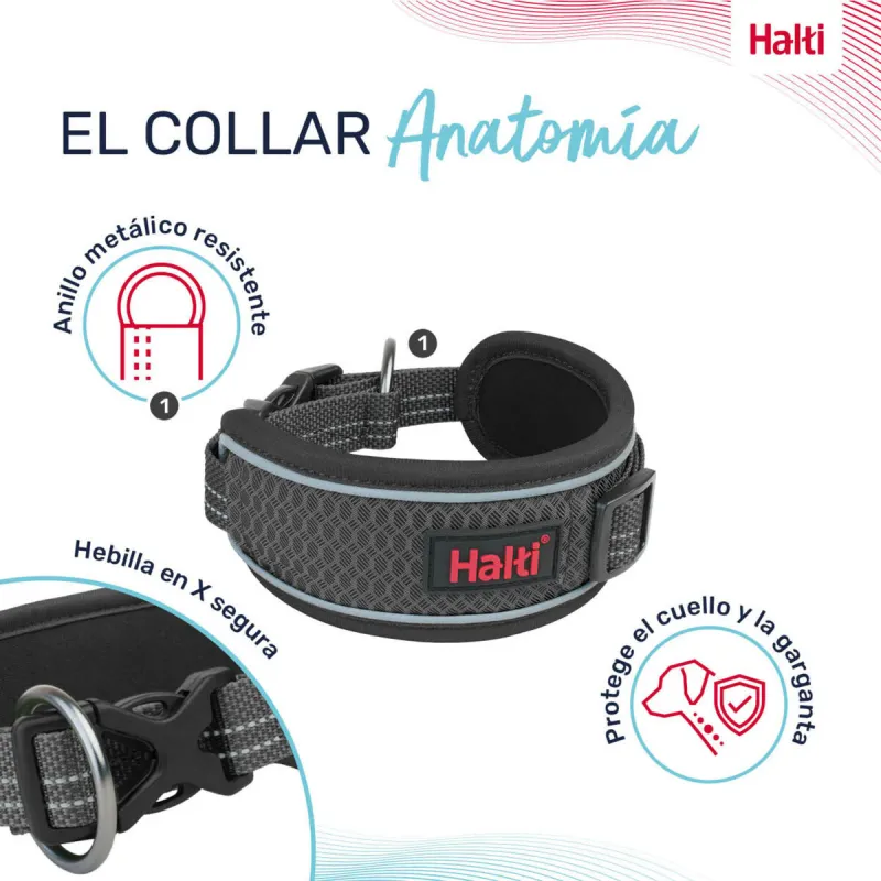 Dog collar Company of Animals Grey