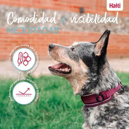 Dog collar Company of Animals