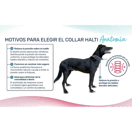 Šuns antkaklis Company of Animals