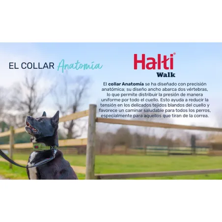 Koera kaelarihm Company of Animals