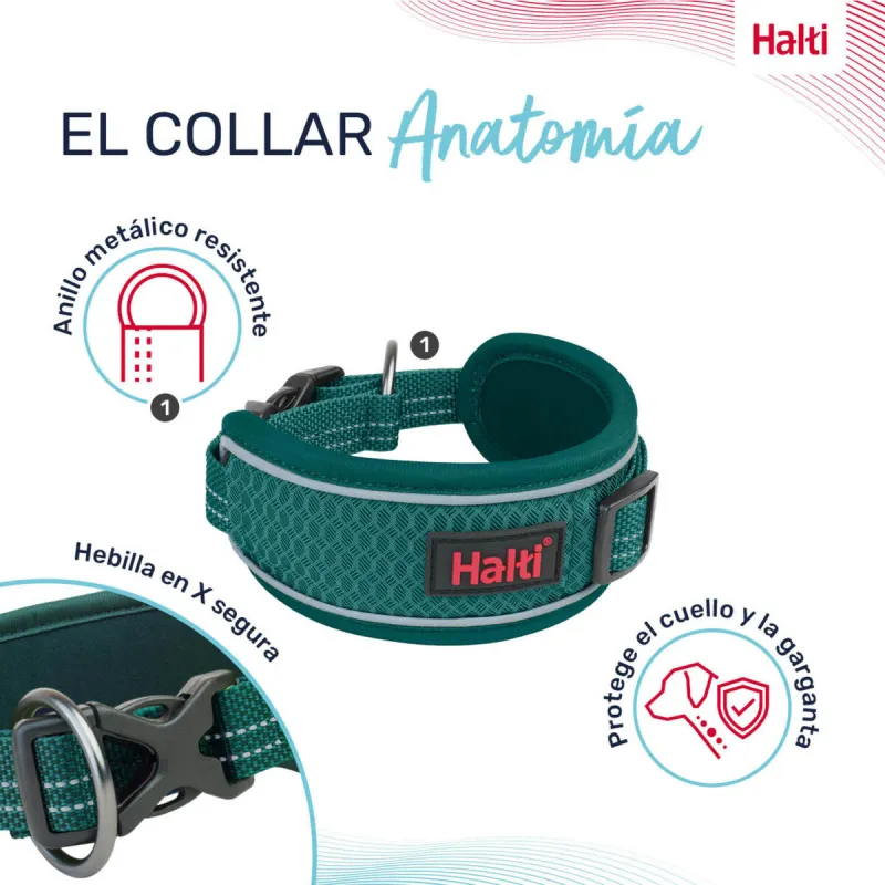 Собачий ошейник Company of Animals бирюзовый