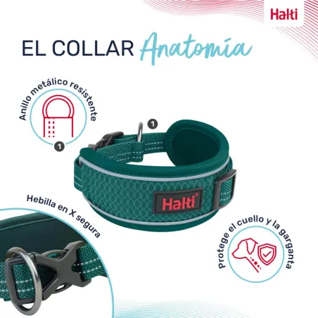 Dog collar Company of Animals Turquoise