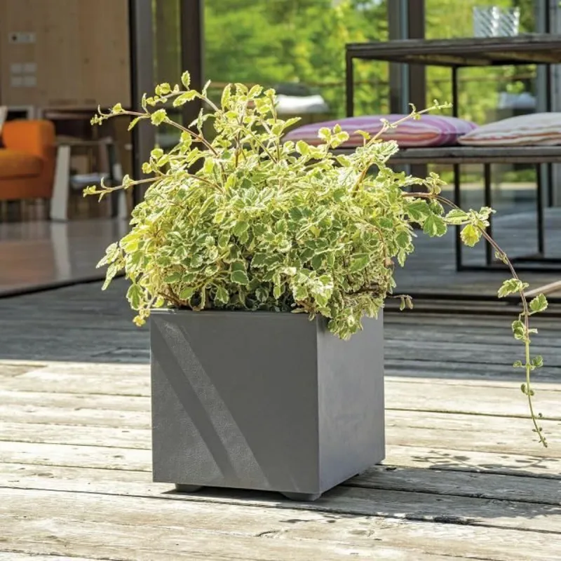 Банка Deroma Антрацитный 25 cm Пластик Квадратный Куб Ø 25 cm