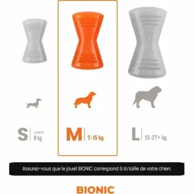 Dog chewing toy Bionic Urban stick Orange M Bone