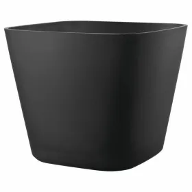 Kukkaruukku Deroma