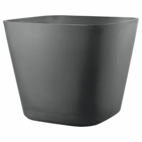 Kukkaruukku Deroma