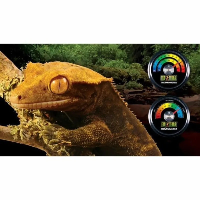 Termomeeter Exo Terra
