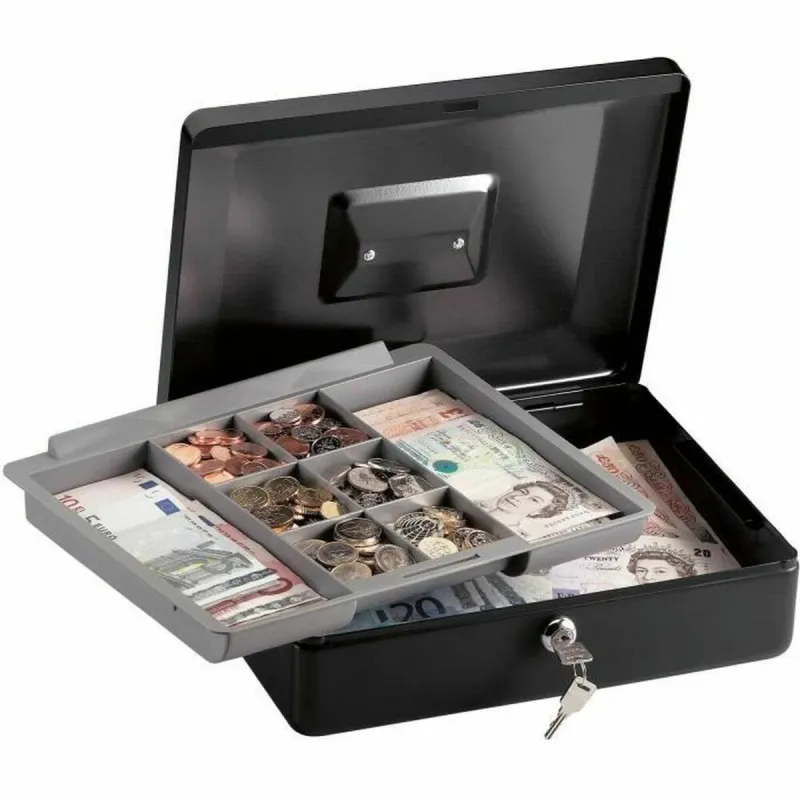 Hoiulaegas Master Lock Must 25 x 31 x 10 cm Teras