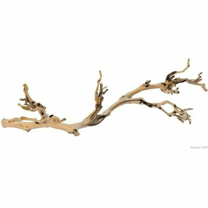 Terariumo priedas Exo Terra PT3077A1 Terariumas