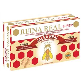 Robis Reina Real Super 20 Amp