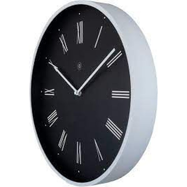 WATCH NEXTIME Unisex 7329ZW (40CM)