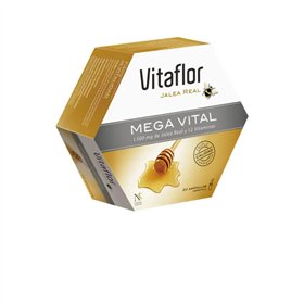 Vitaflor Mega Vital 20 ampulas 200ml
