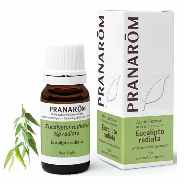 Ēteriskā Eļļa Pranarôm 10 ml Eikalipts