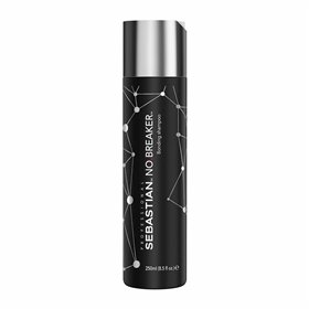 Šampūnas Sebastian NO.BREAKER 250 ml