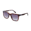 SUNGLASSES POLICE MAN SPLN34M540878 (Lens/Bridge/Temple) 54/19/145 mm) — Buy Online | Perfume Bright Lab