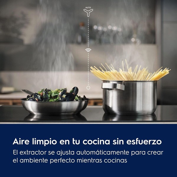 Induction Hot Plate Electrolux EIT61336CB 7200 W
