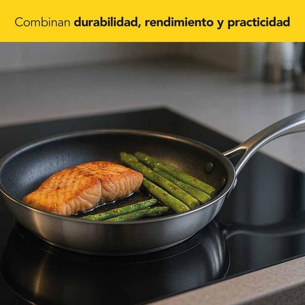 Pan Castey EA-S22 Grey Stainless steel Ø 22 cm