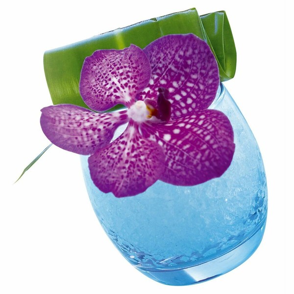 Glāžu komplekts Arcoroc ACC_C9688 Caurspīdīgs Stikls 320 ml 6 Daudzums