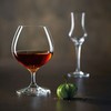 Glāžu Komplekts Chef&Sommelier Spirits Alkohols Caurspīdīgs Stikls 720 ml (6 gb.)