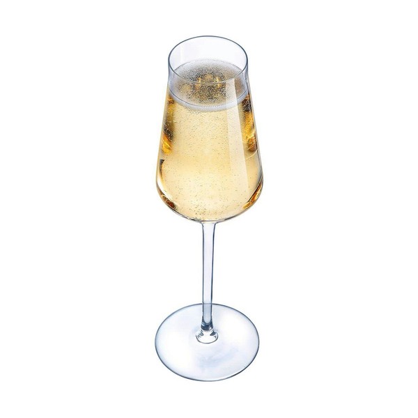 Бокал для шампанского Chef & Sommelier Прозрачный Cтекло (21 cl)