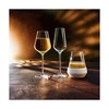 Бокал для шампанского Chef & Sommelier Прозрачный Cтекло (21 cl)