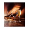 Veiniklaas Chef & Sommelier Sensation Exalt 250 ml 6 Tükid, osad