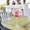 Набор рюмок для джин-тоника Chef & Sommelier Symetrie 6 штук Cтекло 580 ml