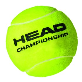 Teniso kamuoliai Head Championship Geltona