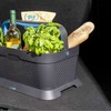 Groziņš automašīnas bagāžniekā Armster V01762 Zils Plastmasa