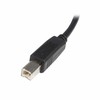 USB A - USB B Kaabel Startech USB2HAB2M            Must