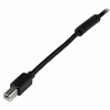USB A - USB B kaapeli Startech USB2HAB65AC          Musta