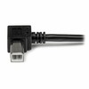 USB A - USB B Kaabel Startech USBAB2MR Must