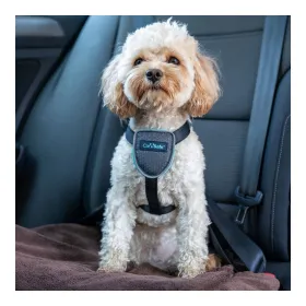 Koera rakmed Company of Animals CarSafe Must XS