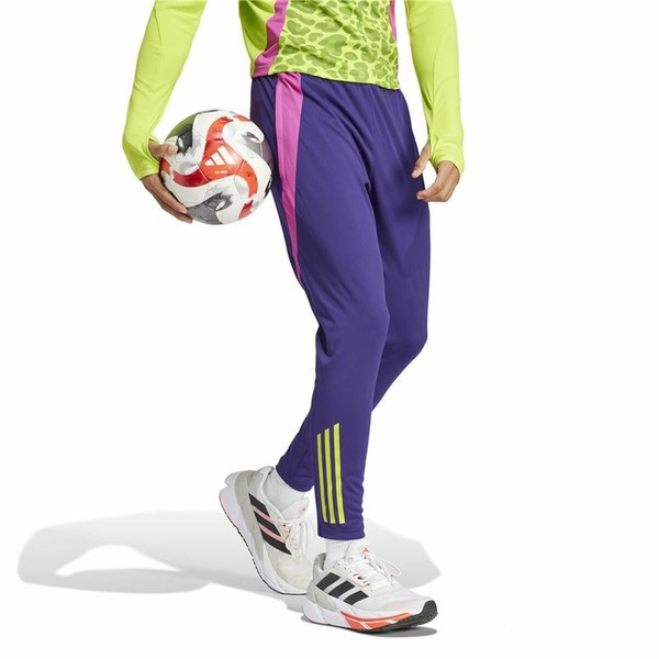 Futbola Treniņbikses Pieaugušajiem Adidas Predator Tr Vīriešu
