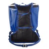 Hydration Backpack Salomon Teamgoal