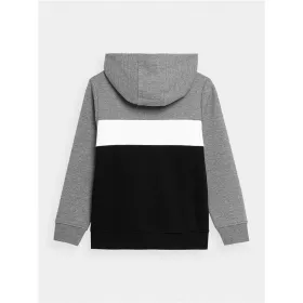 Children’s Sweatshirt 4F HJZ22-JBLM003-24M Light grey