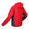Men's Sports Jacket Regatta RMN202-A0S Red