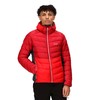 Men's Sports Jacket Regatta RMN202-A0S Red