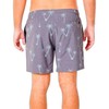 Men’s Bathing Costume Rip Curl CBOSY9-8264 Blue