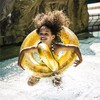 Inflatable Float Swim Essentials Glitter  Golden 70 cm