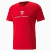 Vyriški marškinėliai su trumpomis rankovėmis Puma 533750 02 Raudona (L)