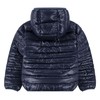 Miesten urheilutakki Levi's 8EF434-C8D Tummansininen