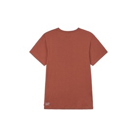 Men’s Short Sleeve T-Shirt Picture MTS952.H Brown (M)