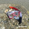 Snorkel Goggles and Tube Schildkröt Red Grey One size