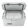 Kaasaskantav Dometic Patrol Valge 36 L 70 x 43,2 x 41 cm Plastmass