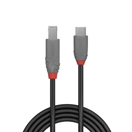 USB-C to USB B Cable LINDY 50 cm Black