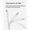 USB-C - USB-C kaapeli Belkin CAB004BT2MWH Valkoinen 2 m