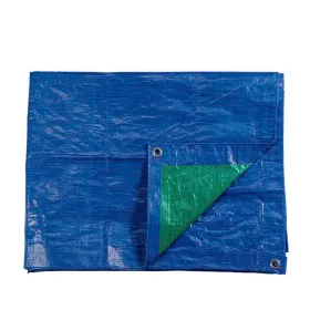 Awning EDM 74990 Blue Green Blue/Green Polyethylene 90 g/m² 2 x 3 m Double-sided